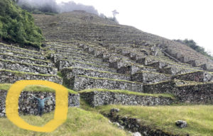 Coach Fritz being overshadowed by the massiveness of Machu Pichu terraces.