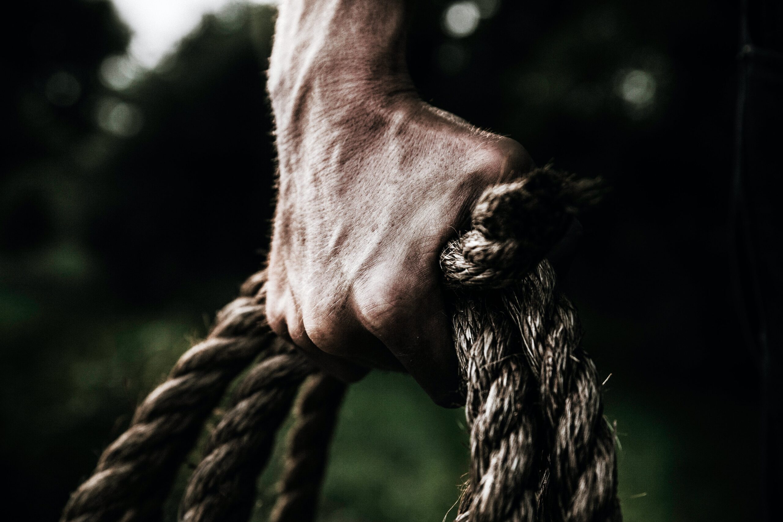 Grip strength holding a rope 